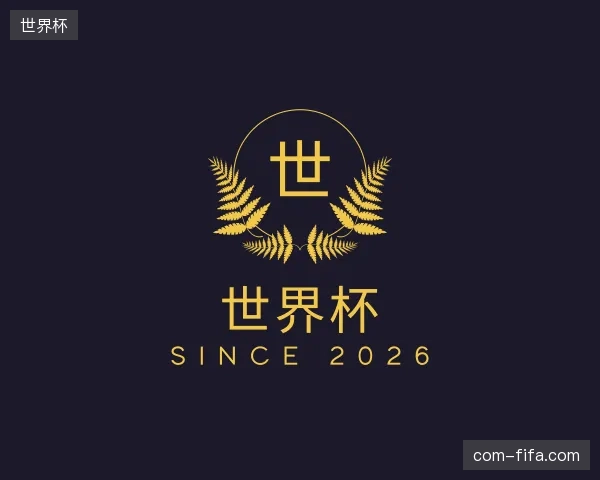 初识世界杯官网